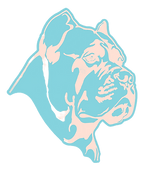 revcolor corso head_edited_edited.png