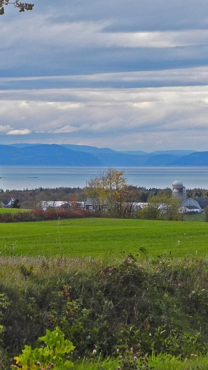 municipalite de saint eloi