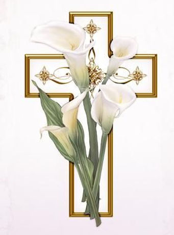 Lilly Cross