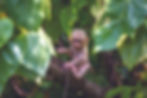 monkey-6280303_1920.jpg