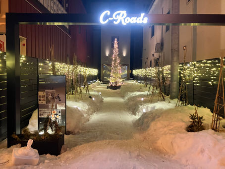 🌝夜間排雪🌝