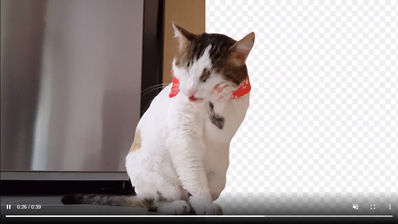 En este sitio puedes eliminar el fondo de un vídeo o GIF animado de forma automática y gratis