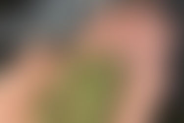 La 'dark web' no fue suficiente para este traficante: una foto con marihuana en sus manos rompió su