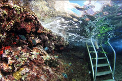 Best Snorkeling in Cozumel
