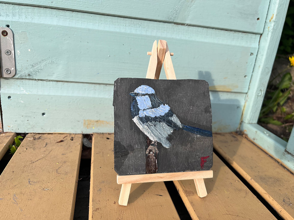 Thumbnail: Fairy Wren comes with free stand or buttons so it can be a coaster