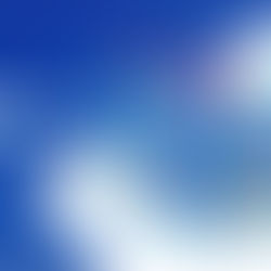 How WordPress Website Design Services Can Boost Your Online Presence