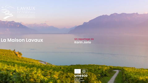 Reportage vidéo - Visite de Maison Lavaux