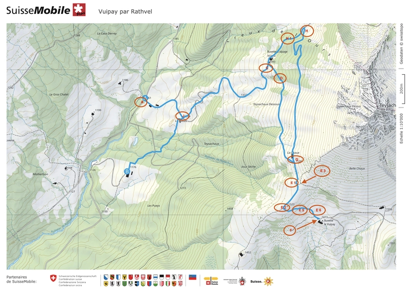 Exemple de premiers plans d'implantation rudimentaire