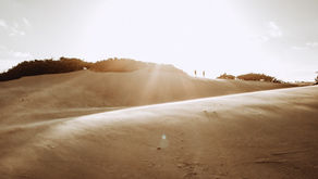 Scripture Reflection - March 8, 2026