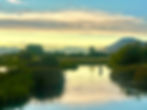 IMG_9500.jpeg