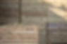 wilke_3816_low.jpg