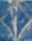 tour_img-205840-148_edited_edited.jpg