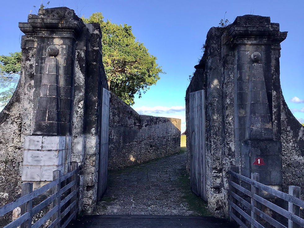 La rotta degli schiavi - Fort Fleur d’Épée: il terzo cuore della memoria