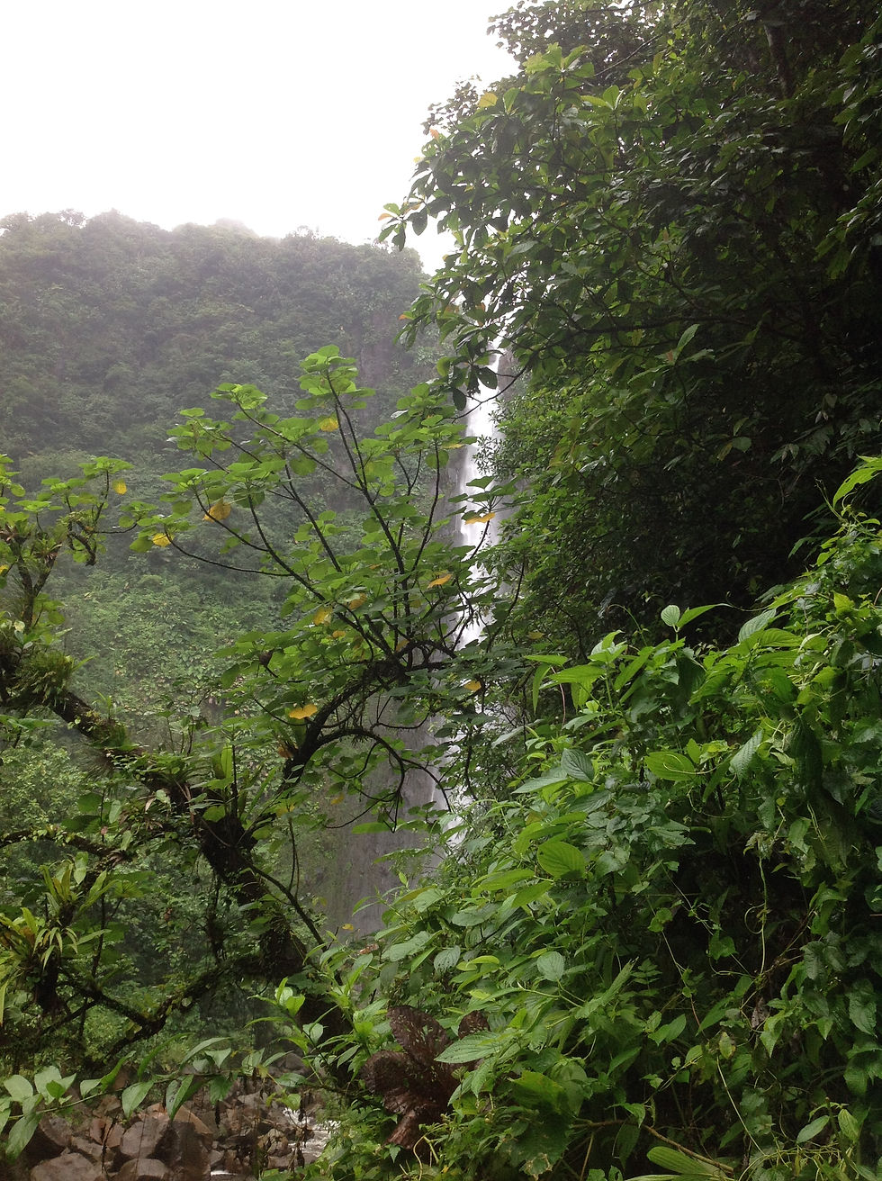 Cascate du Carbet