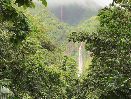 I tesori della Guadalupa - Cascata du Carbet e vulcano Soufrère 1^ p.