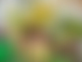 Alla Guadalupa parte il Carnevale 2025