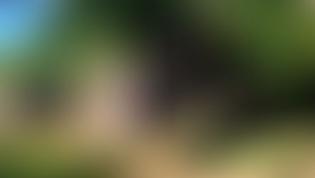 Diario di viaggio 2026. 12 febbraio