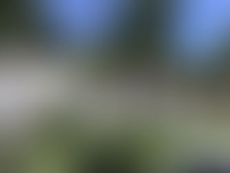 In tour con #EnjoyGuadalupa Deshaies