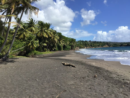Le spiagge di Basse-Terre