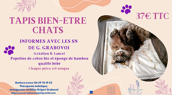 TAPIS BIEN ETRE CHATS ANIMAUX INFORMES AVEC LES SERIES NUMERIQUES DE G GRABOVOI