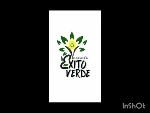 Testimonios de nuestros voluntarios