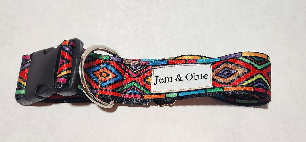 custom dog collar, custom pet collar, best dog collars, designer dog collars, best dog collars, unique dog collars, 1.5 inch collar, 1 inch collar