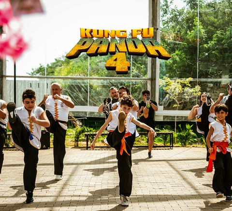 Roda Rico - Kung Fu Panda