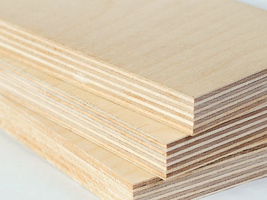 Baltic Birch Plywood