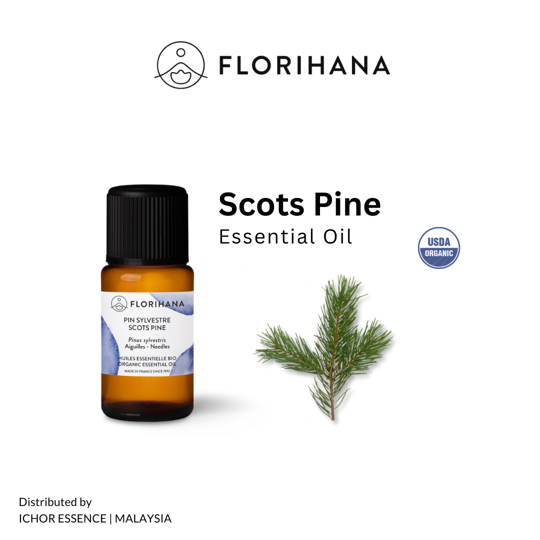 Florihana Scots Pine Organic Essential Oil