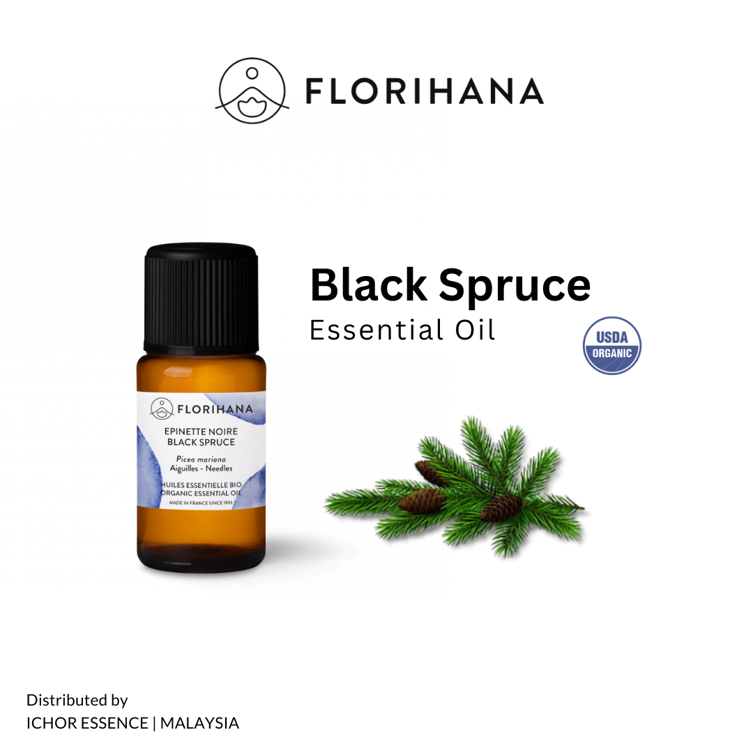Florihana Black Spruce Organic Essential Oil