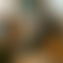 Təhsil münasibətlərində hüquq və vəzifələr: Təhsilalan və təhsilverənin qarşılıqlı öhdəlikləri