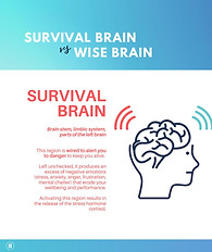 Pause at Work® Materials 3.jpg