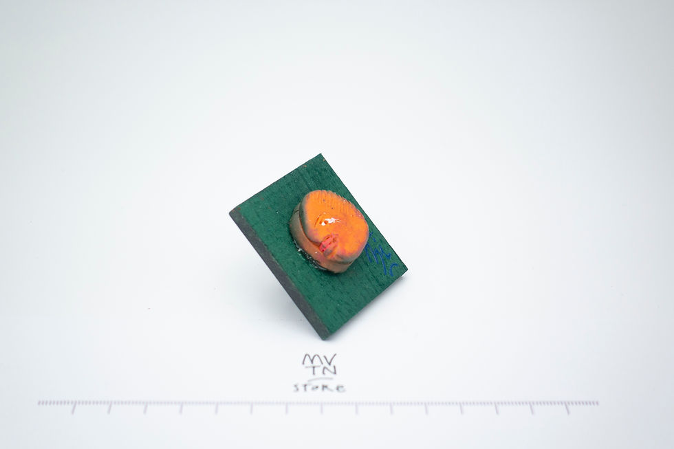 Küçük resim: Mini Seri No: 8