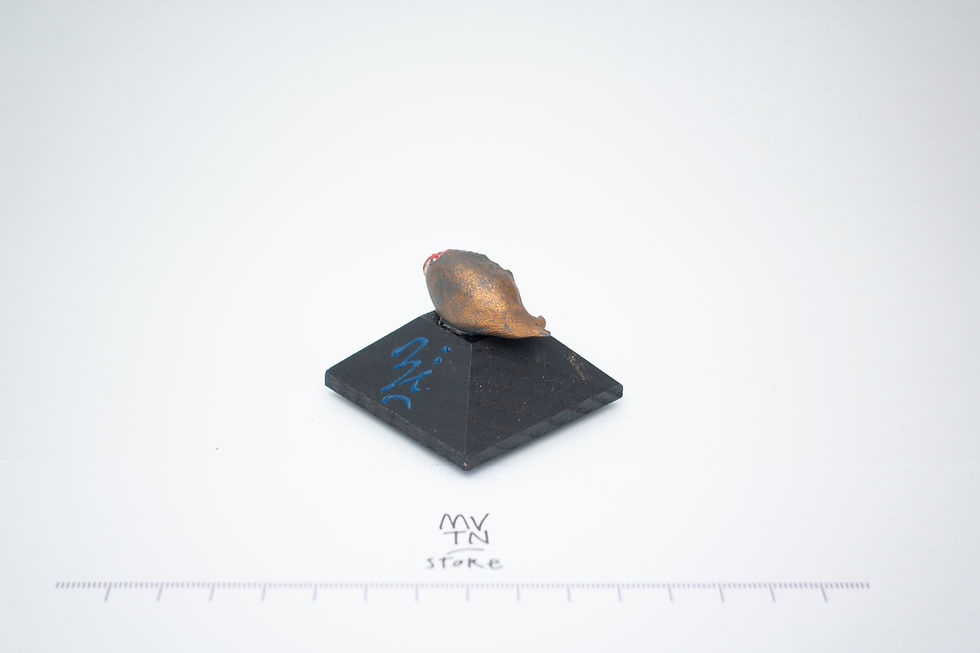 Küçük resim: Mini Seri No: 14
