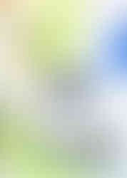 CamScanner 19-11-2025 14.58_1.jpg