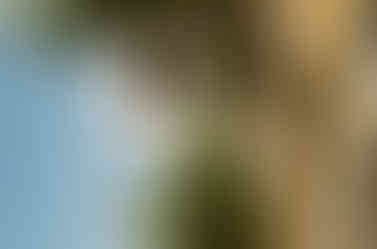 000110180002