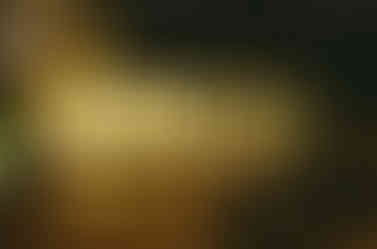 000110190029