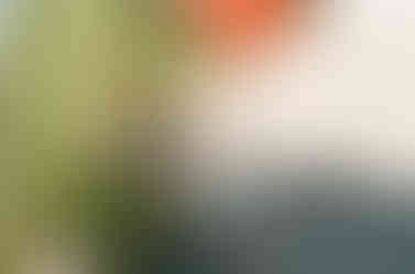 000110180004
