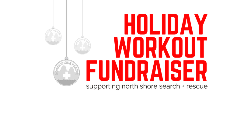 NSR Fundraiser Banner.png