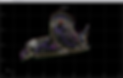 ThumbNail (1).png