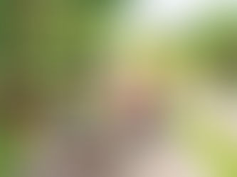 4th Annual Earth Day Poster Contest