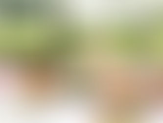 President’s Summer Garden Party | Sunday 24th June 2018