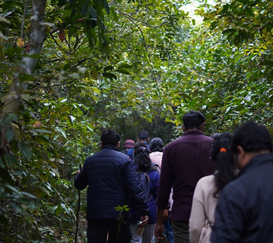 Nature trail image 1