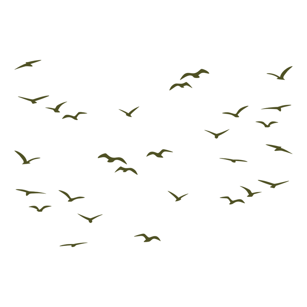 8.png