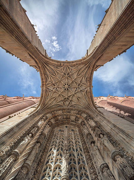 Cathédrale Sainte-Cécile à Albi