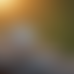 Discover the Timeless Allure of Diamond Engagement Rings