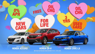 Wix Website Editor _ Colin Stein - Google Chrome 4_26_2023 7_39_18 PM_edited.jpg