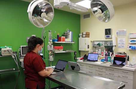 Veterinary Treatment Room.JPG