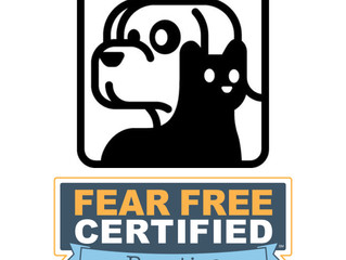 Fear Free at CPH
