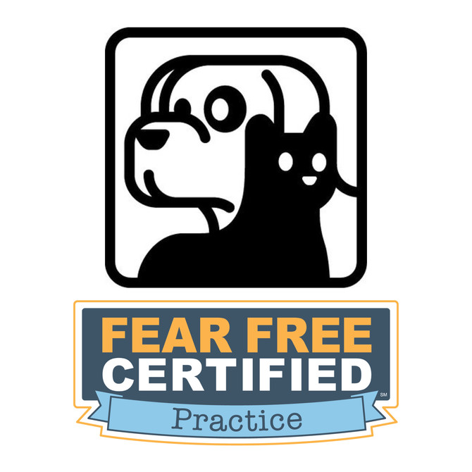 Fear Free at CPH